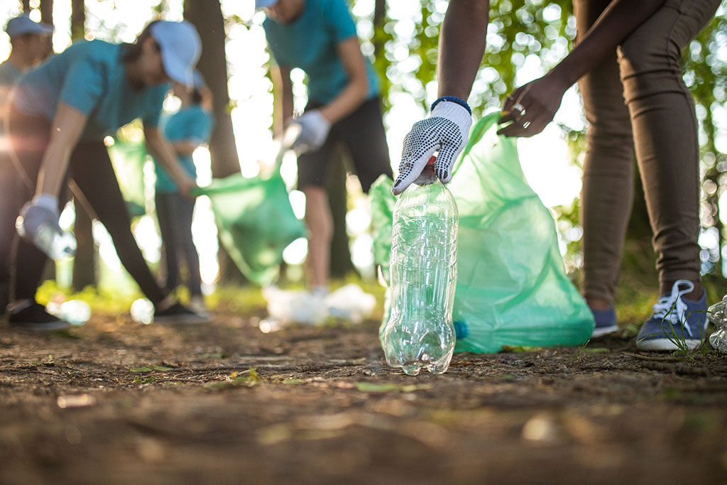 Group Of People Cleaning Up Litter